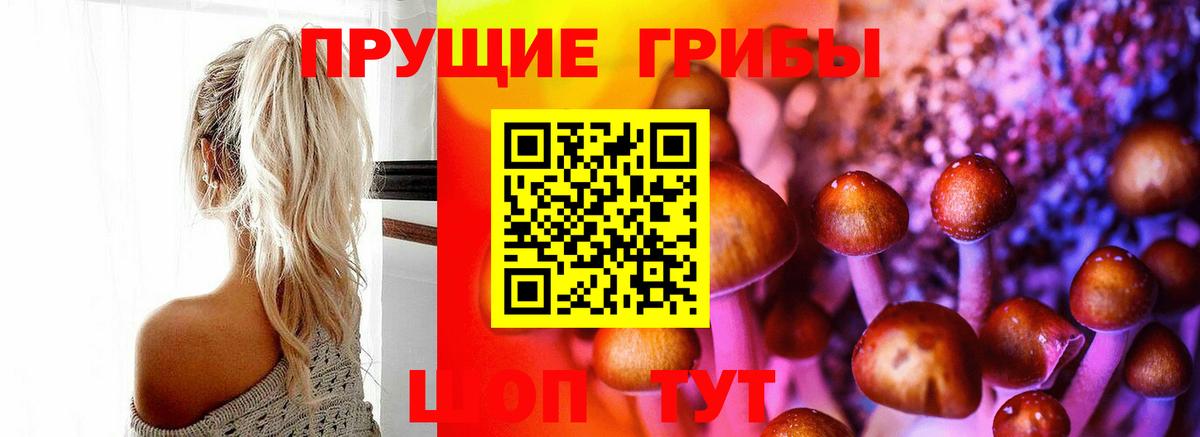 даркнет сайт  Галлюциногенные грибы Psilocybine cubensis  Солнечногорск  Вход с VPN  Галлюциногенные грибы мицелий 